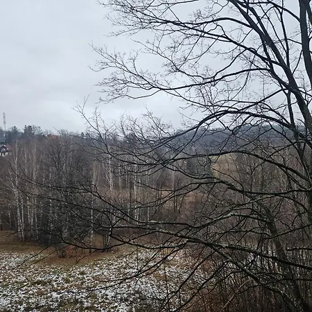 Leśna Hania Apartament