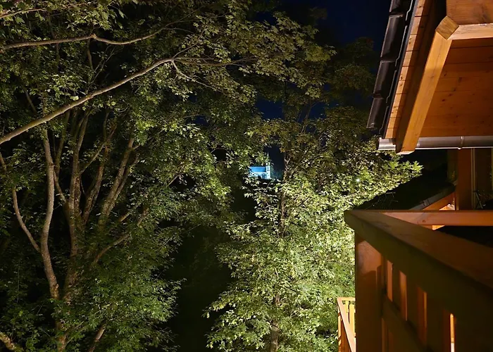 Lesna Hania Apartment